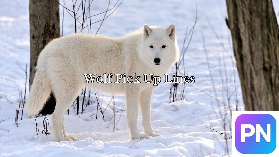 Wolf Pick Up Lines