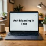Ash Meaning in Text