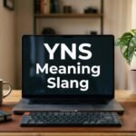 YNS Meaning Slang