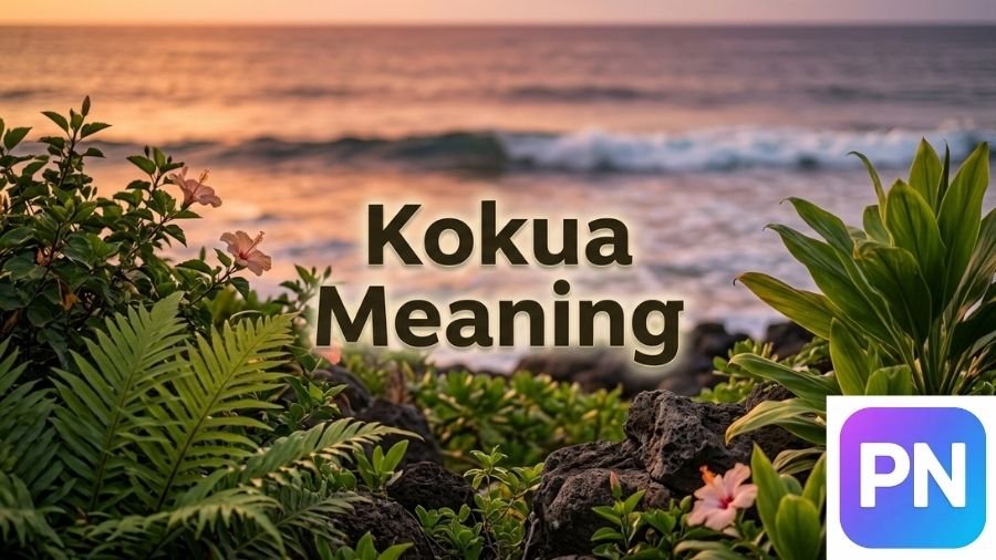 Kokua Meaning