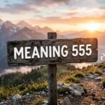 Meaning 555