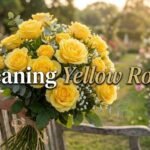 Meaning Yellow Roses