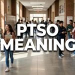 PTSO Meaning