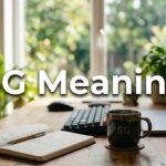 SG Meaning